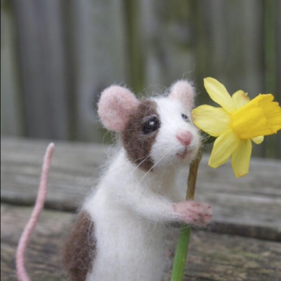 Meet your Posher, Michele - Picture 1 of 1